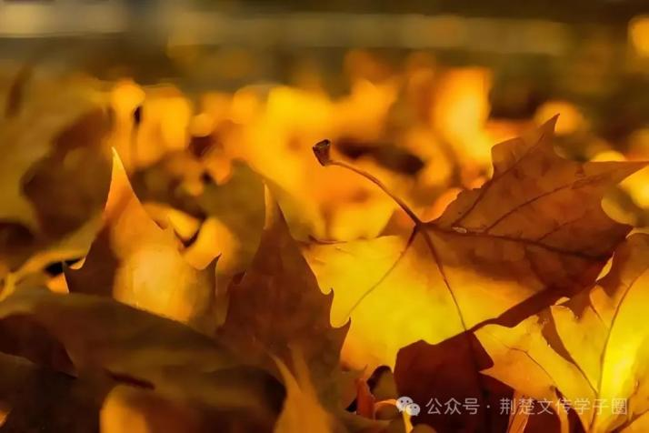 QY千亿球友会