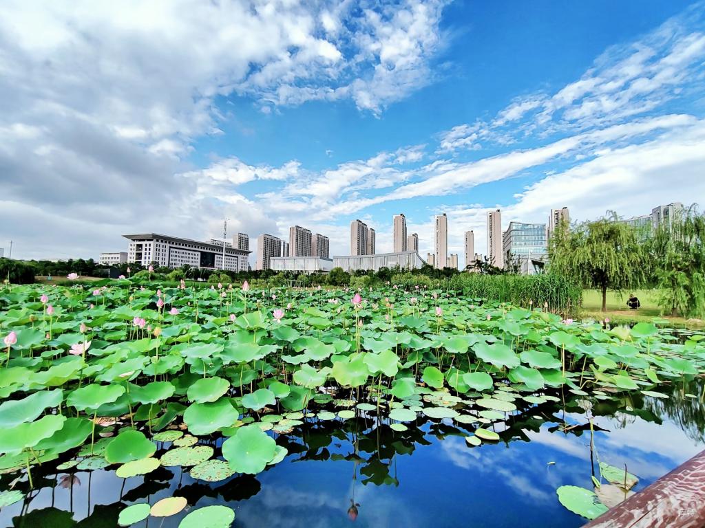 QY千亿球友会