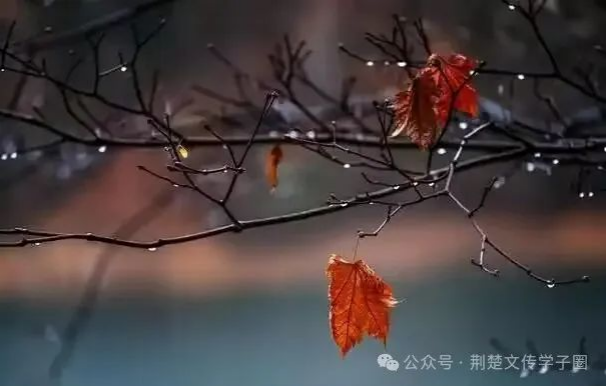 QY千亿球友会